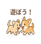 赤いスカーフのコーギー（個別スタンプ：39）