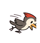 無言キツツキのコンコン便@SFW（個別スタンプ：8）