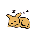 ツッコミカンガルーのドヤ便@SFW（個別スタンプ：5）