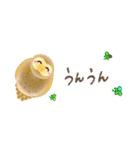 福福フクロウ☆省スペース（個別スタンプ：27）