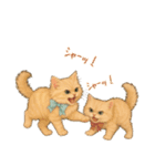 キンモクセイとネコの日常スタンプ（個別スタンプ：22）
