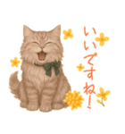 キンモクセイとネコの日常スタンプ（個別スタンプ：28）
