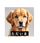 かわいい犬たちの毎日ことばスタンプ（個別スタンプ：8）