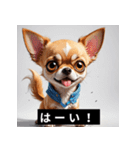 かわいい犬たちの毎日ことばスタンプ（個別スタンプ：11）