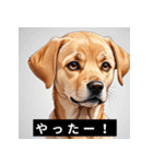 かわいい犬たちの毎日ことばスタンプ（個別スタンプ：18）