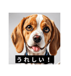 かわいい犬たちの毎日ことばスタンプ（個別スタンプ：19）