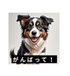 かわいい犬たちの毎日ことばスタンプ（個別スタンプ：20）