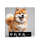 かわいい犬たちの毎日ことばスタンプ（個別スタンプ：24）