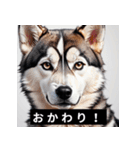 かわいい犬たちの毎日ことばスタンプ（個別スタンプ：27）
