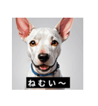 かわいい犬たちの毎日ことばスタンプ（個別スタンプ：29）