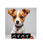 かわいい犬たちの毎日ことばスタンプ（個別スタンプ：34）