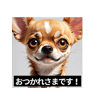 かわいい犬たちの毎日ことばスタンプ（個別スタンプ：39）