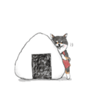 柴犬のおにぎり屋さん（個別スタンプ：5）