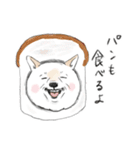柴犬のおにぎり屋さん（個別スタンプ：17）