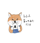 柴犬のおにぎり屋さん（個別スタンプ：22）