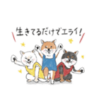 柴犬のおにぎり屋さん（個別スタンプ：25）