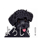 ミニチュアプードルがいっぱい（個別スタンプ：7）