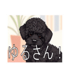ミニチュアプードルがいっぱい（個別スタンプ：35）