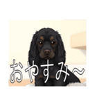 イングリッシュコッカースパニエルいっぱい（個別スタンプ：4）