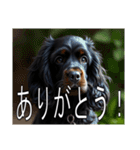 イングリッシュコッカースパニエルいっぱい（個別スタンプ：5）