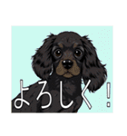 イングリッシュコッカースパニエルいっぱい（個別スタンプ：7）