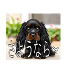 イングリッシュコッカースパニエルいっぱい（個別スタンプ：8）