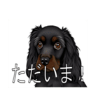 イングリッシュコッカースパニエルいっぱい（個別スタンプ：12）