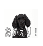 イングリッシュコッカースパニエルいっぱい（個別スタンプ：13）