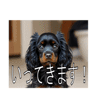 イングリッシュコッカースパニエルいっぱい（個別スタンプ：16）