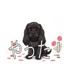 イングリッシュコッカースパニエルいっぱい（個別スタンプ：17）