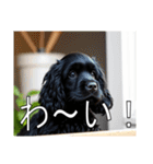 イングリッシュコッカースパニエルいっぱい（個別スタンプ：18）