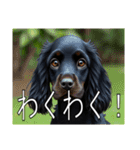 イングリッシュコッカースパニエルいっぱい（個別スタンプ：20）