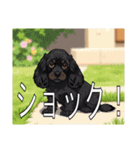イングリッシュコッカースパニエルいっぱい（個別スタンプ：25）