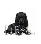 イングリッシュコッカースパニエルいっぱい（個別スタンプ：26）