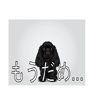 イングリッシュコッカースパニエルいっぱい（個別スタンプ：28）