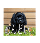 イングリッシュコッカースパニエルいっぱい（個別スタンプ：30）