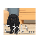 イングリッシュコッカースパニエルいっぱい（個別スタンプ：32）