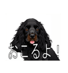 イングリッシュコッカースパニエルいっぱい（個別スタンプ：33）