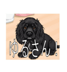 イングリッシュコッカースパニエルいっぱい（個別スタンプ：35）