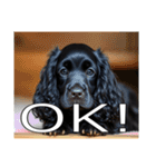 イングリッシュコッカースパニエルいっぱい（個別スタンプ：38）