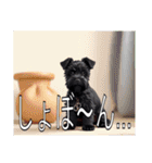 レークランドテリアがいっぱい（個別スタンプ：26）