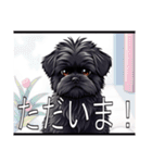 ラサアプソ（個別スタンプ：12）
