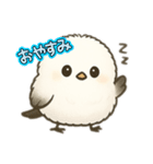 シマエナガ最高（個別スタンプ：8）