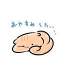 メンタル絹豆腐リスの崩壊スタンプ（個別スタンプ：24）