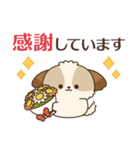 シーズーたちの飛び出す敬語スタンプ（個別スタンプ：3）