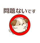 シーズーたちの飛び出す敬語スタンプ（個別スタンプ：4）