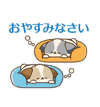 シーズーたちの飛び出す敬語スタンプ（個別スタンプ：6）