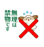 シーズーたちの飛び出す敬語スタンプ（個別スタンプ：10）