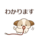 シーズーたちの飛び出す敬語スタンプ（個別スタンプ：12）