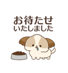 シーズーたちの飛び出す敬語スタンプ（個別スタンプ：13）